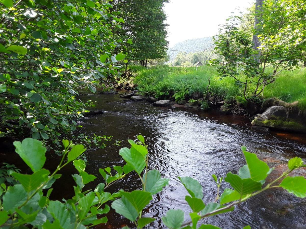 Ferienwohnung Relax Bad Wildbad Exterior foto
